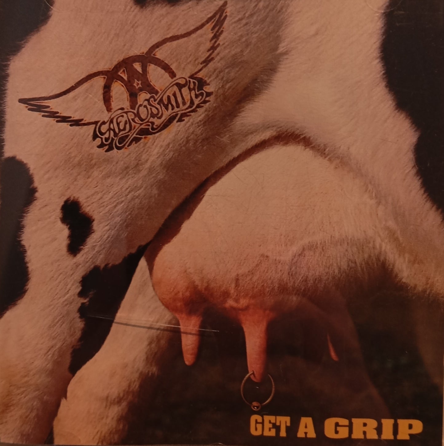 AEROSMITH - GET A GRIP