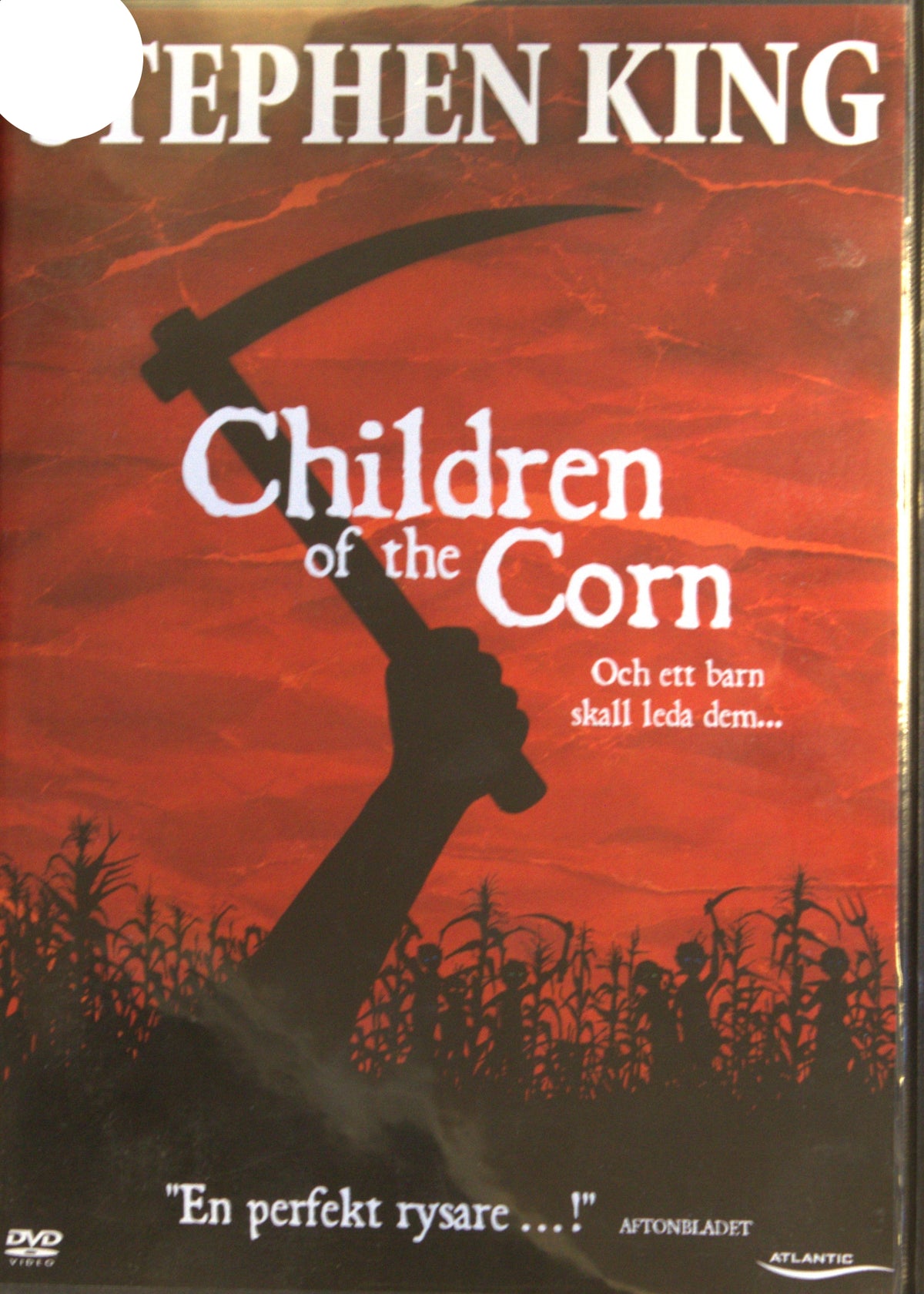 Children of the Corn (1984) DVD – omslag