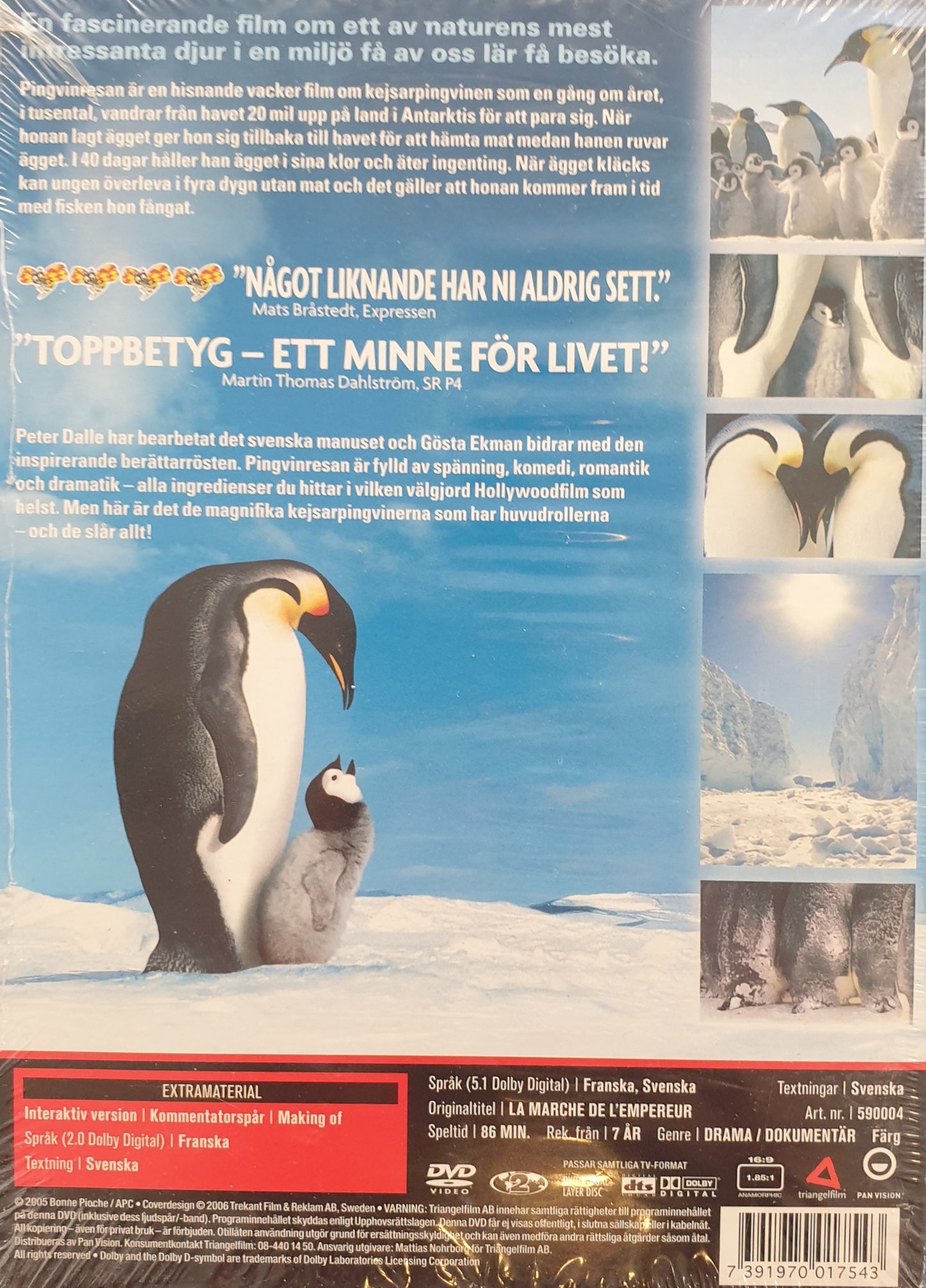 PINGVINRESAN / LA MARCHE DE L'EMPEREUR