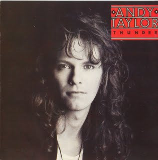 ANDY TAYLOR - THUNDER - VINYL