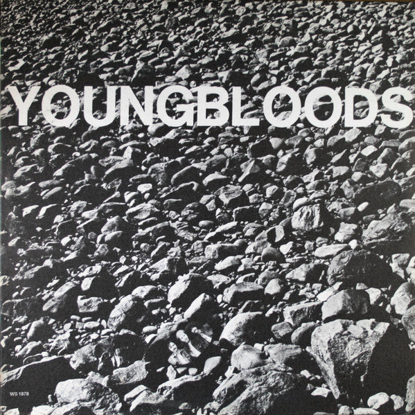 THE YOUNGBLOODS - ROCK FESTIVAL - VINYL