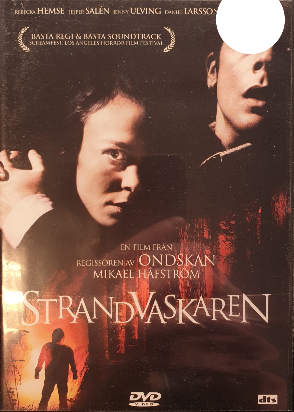 Strandvaskaren (2004) DVD – omslag