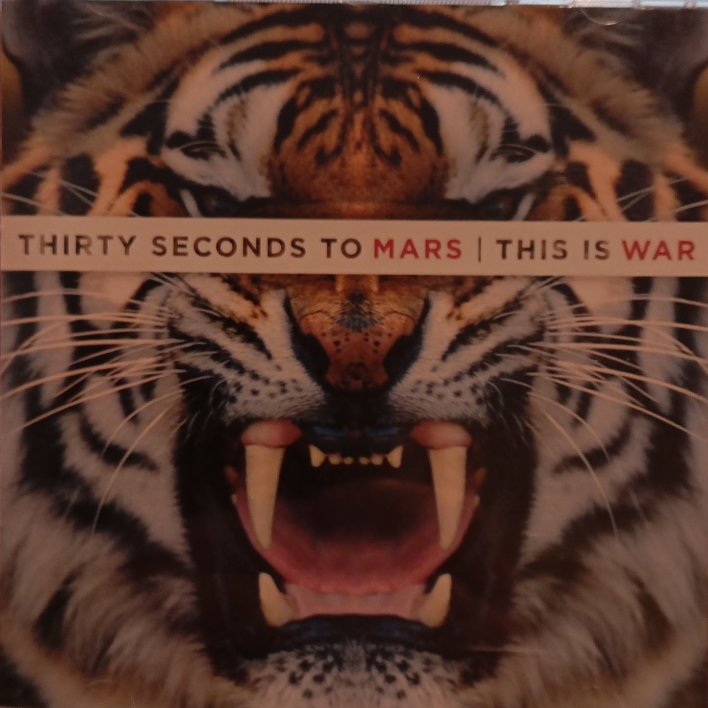 THIRTY SECONDS TO MARS - THIS IS WAR