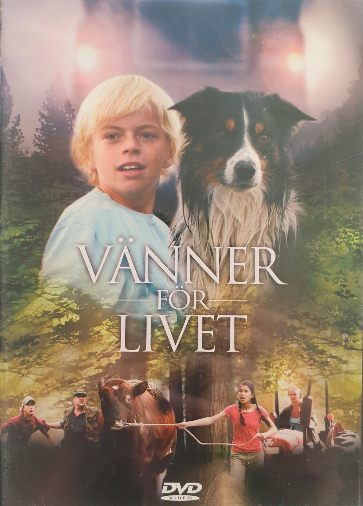 Vänner för livet / Venner for livet (2007) DVD – omslag