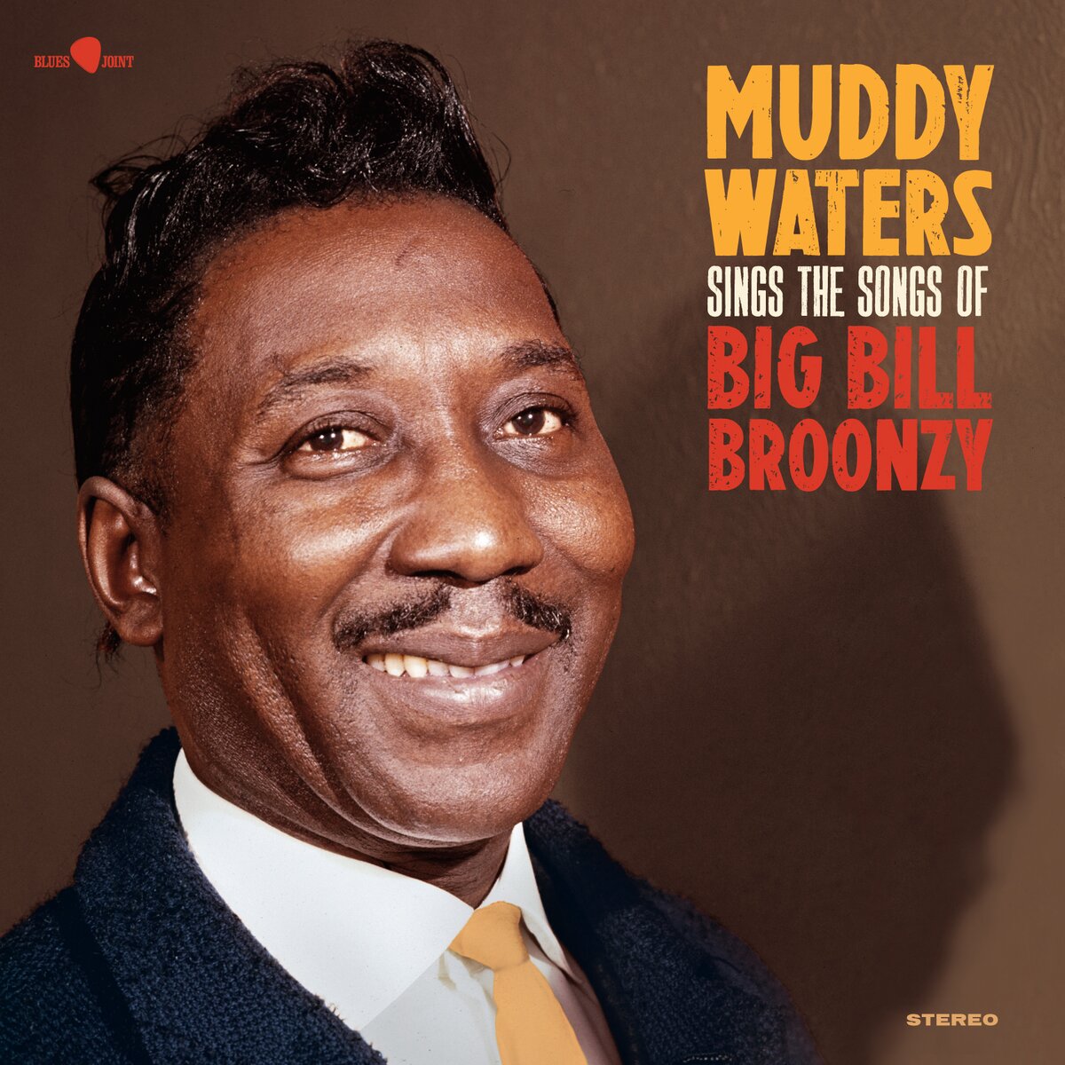 MUDDY WATERS - SINGS BIG BILL - VINYL (NEW) 180 G