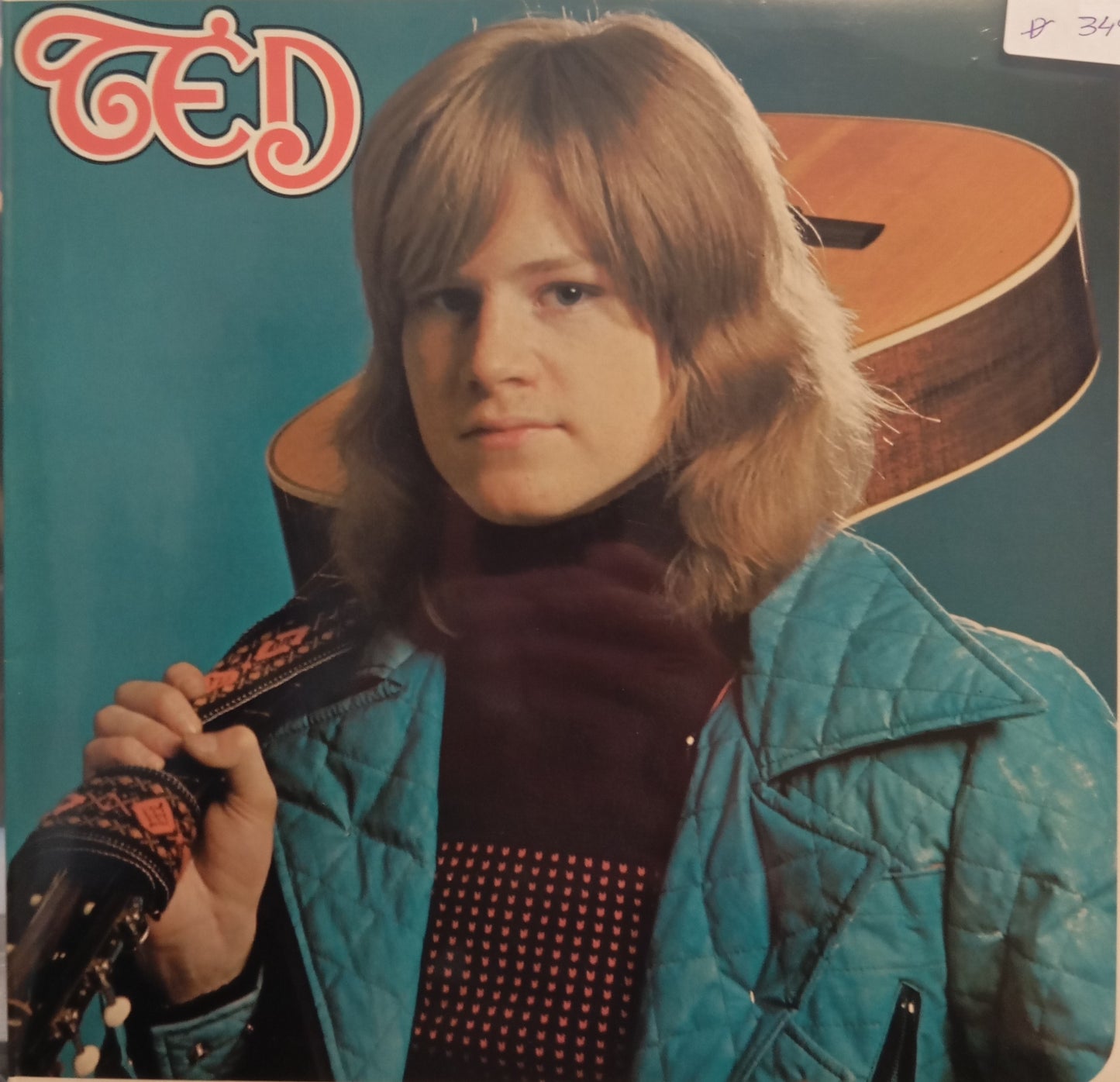 TED GÄRDESTAD - TED