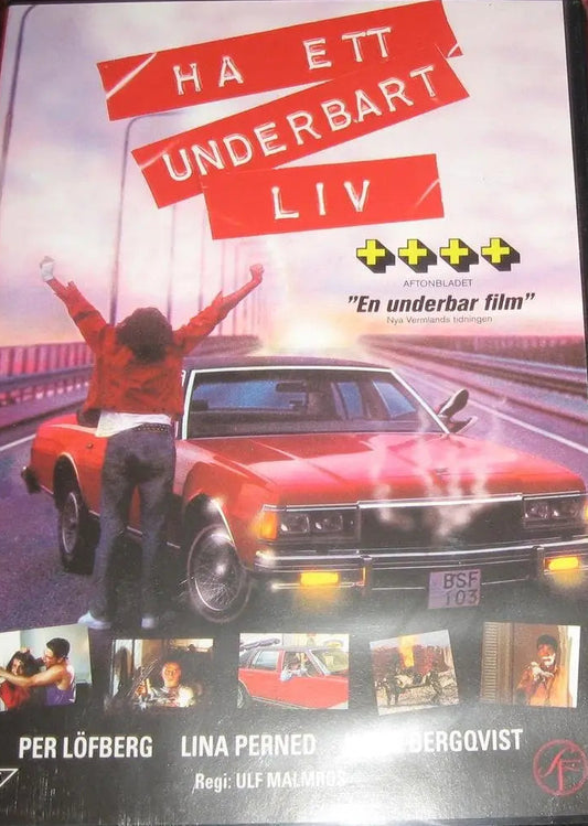 HA ETT UNDERBART LIV - DVD
