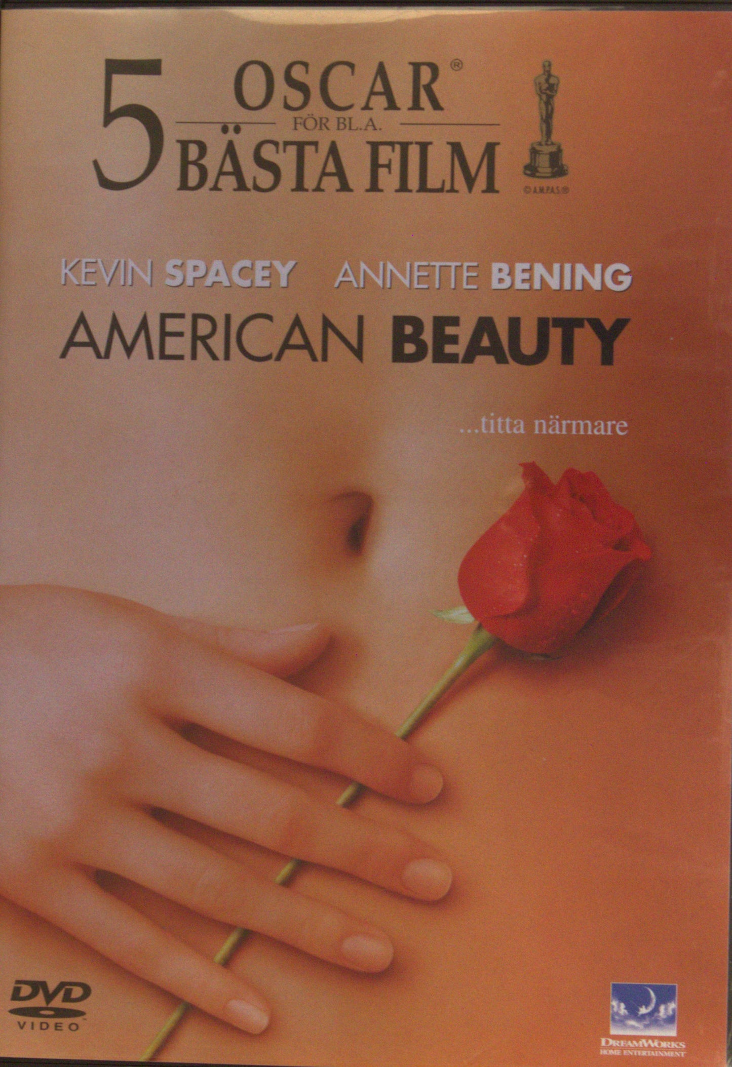 AMERICAN BEAUTY
