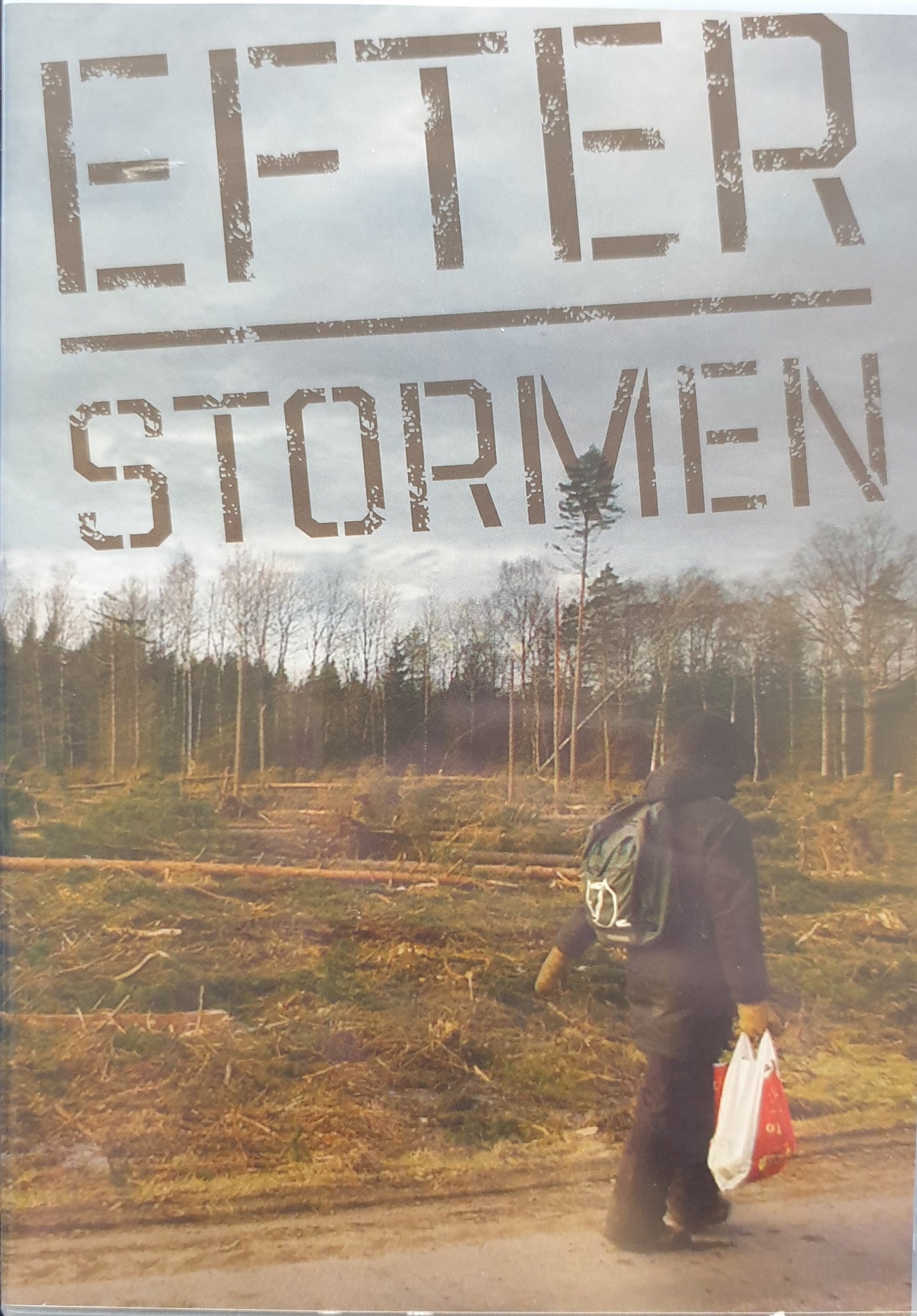 EFTER STORMEN (GUDRUN 2005)