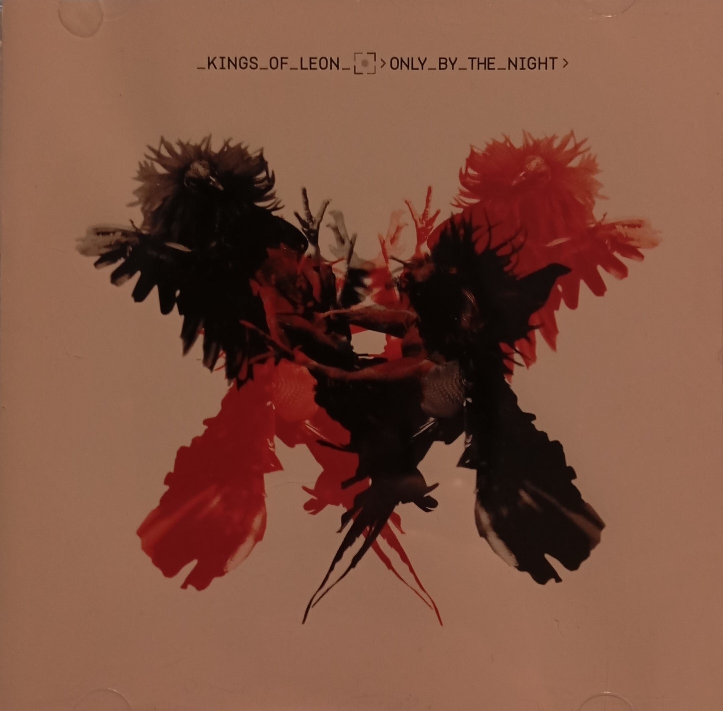 KINGS OF LEON - ONLY BY THE NIGHT