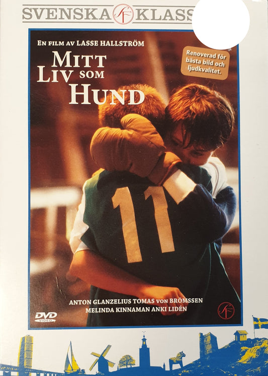 MEIN LEBEN ALS HUND
