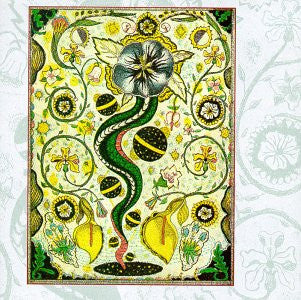 STEVE EARLE - I FEEL ALRIGHT - CD