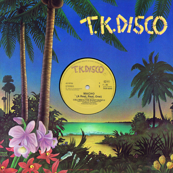 RICK ASTLEY - TOGETHER FOREVER ( MAXI SINGLE ) - VINYL