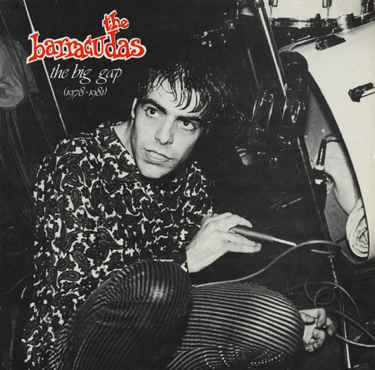 THE BARRACUDAS - THE BIG GAP 1978-1981 - VINYL