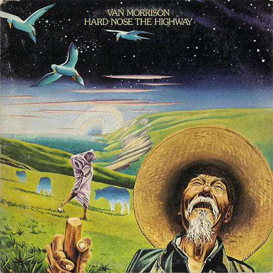 VAN MORRISON - HARD NOSE THE HIGHWAY - VINYL