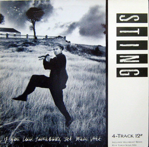 STING - IF YOU LOVE SOMEBODY SET THEM FREE ( MINI ALBUM )