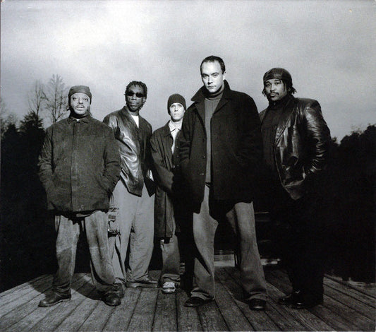 DAVE MATTHEWS BAND - EVERYDAY