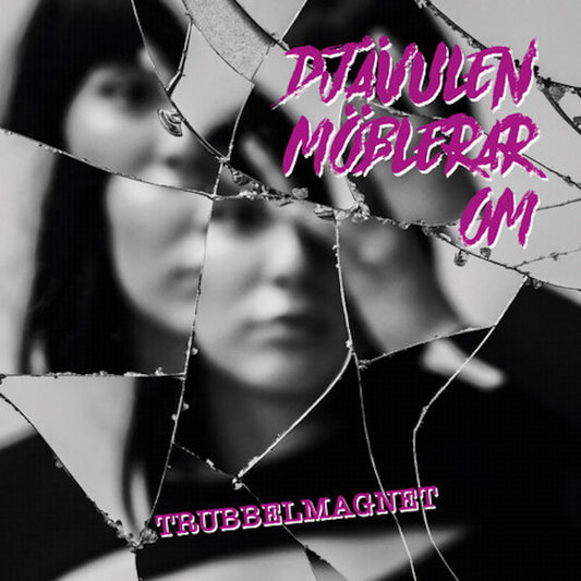 DJÄVULEN MÖBLERAR OM - TRUBBELMAGNET - VINYL