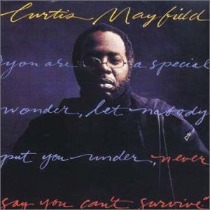 CURTIS MAYFIELD - NEVER SAY YOU CANT SURVIVE