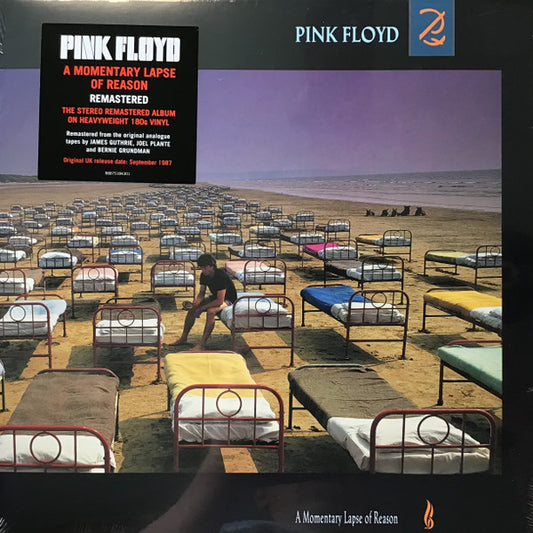 PINK FLOYD - A MOMENTARY LAPSE OF REASON