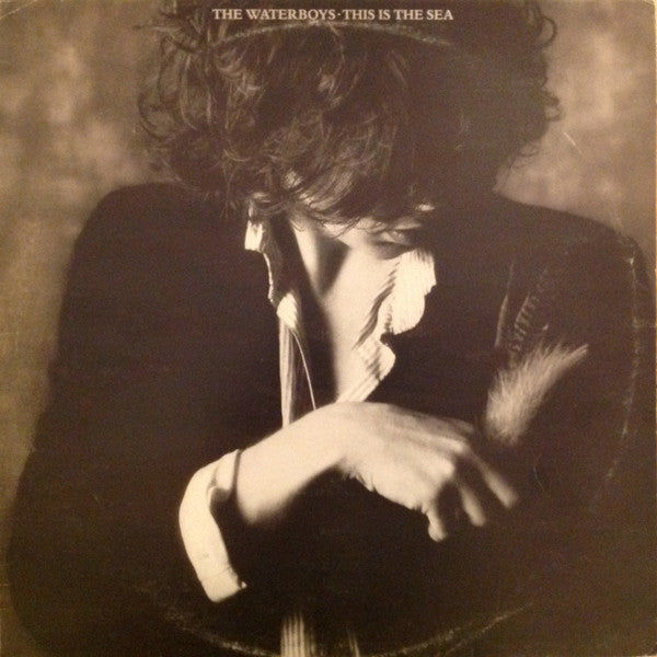 The Waterboys - This is the sea - Vinyl
