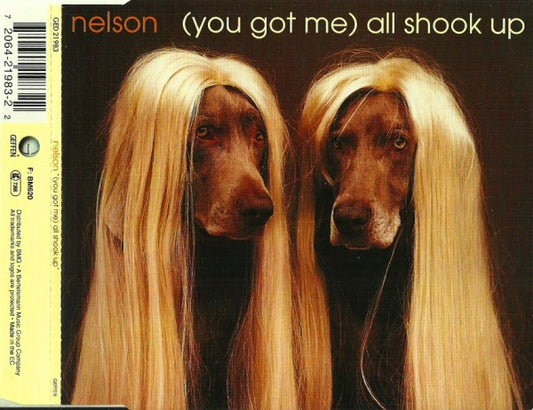NELSON - YOU GOT ME ALL SHOOK UP ( CD MAXI ) - CD