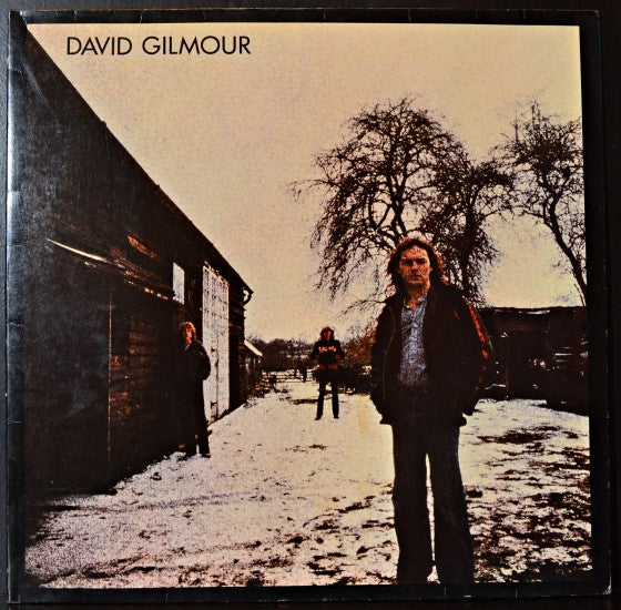 DAVID GILMOUR- DAVID GILMOUR