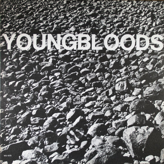THE YOUNGBLOODS - ROCK FESTIVAL - VINYL