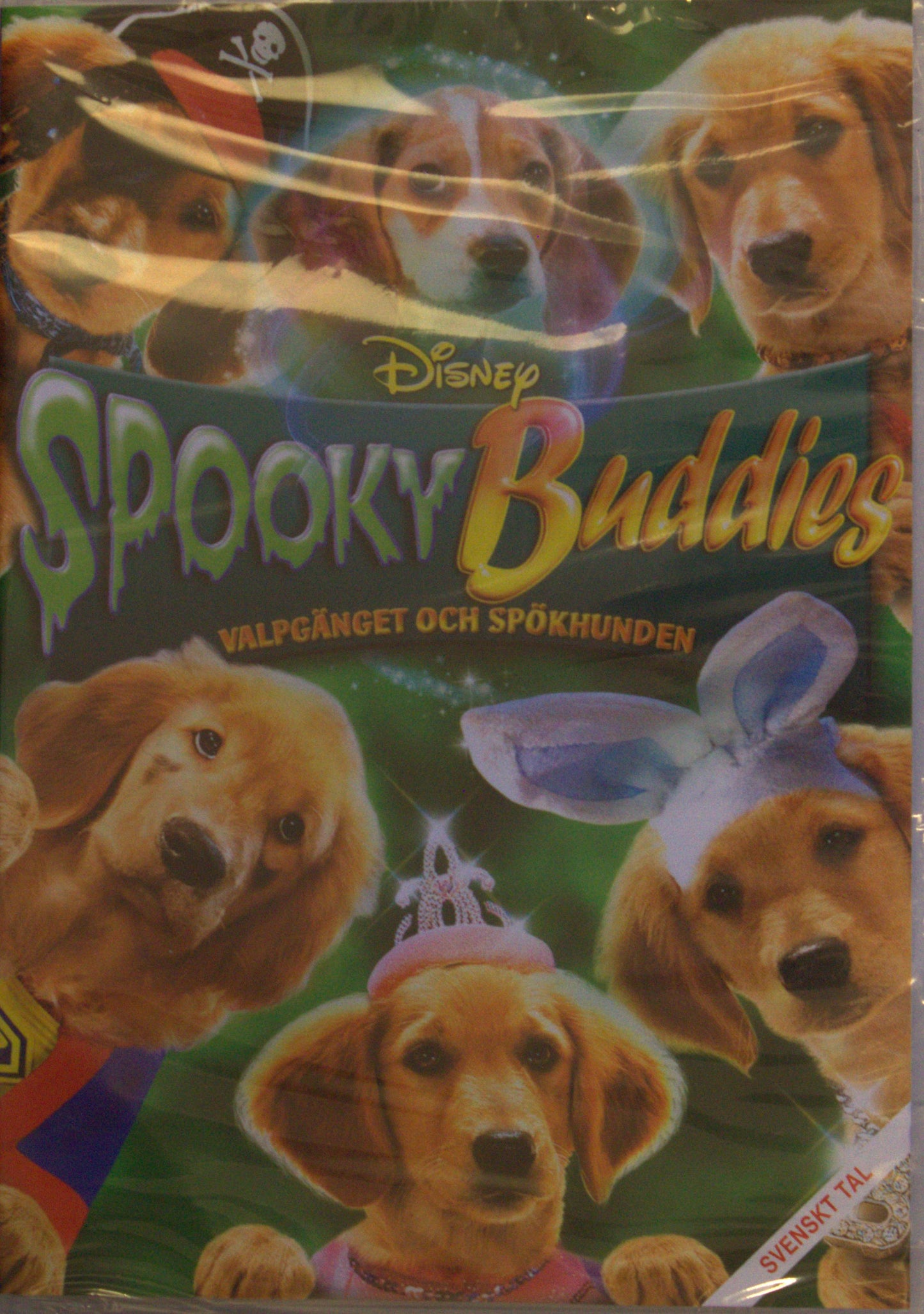 SPOOKY BUDDIES: VALPGÄNGET OCH SPÖKHUNDEN