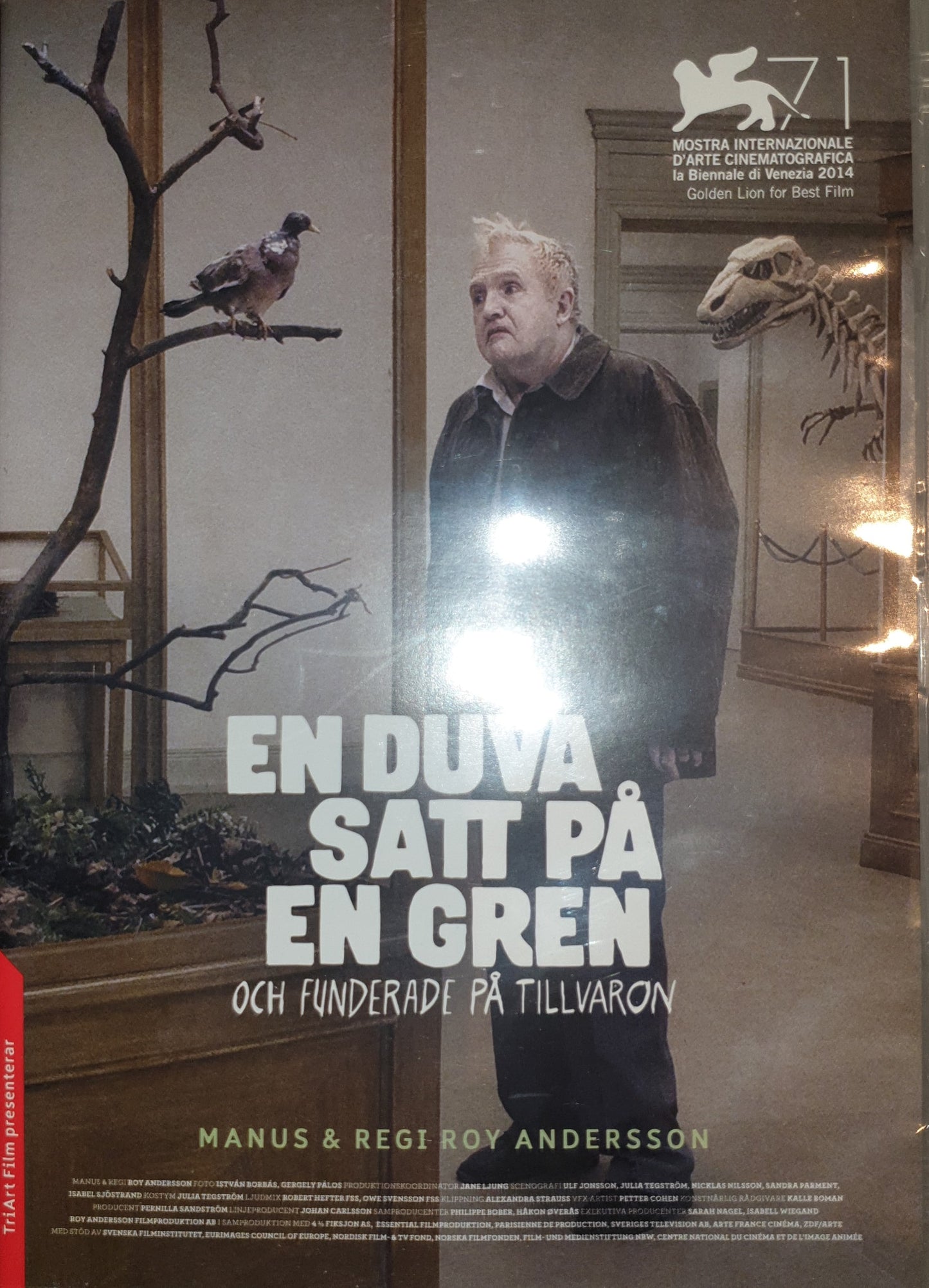 EN DUVA SATT PÅ EN GREN OCH FUNDERADE PÅ TILLVARON